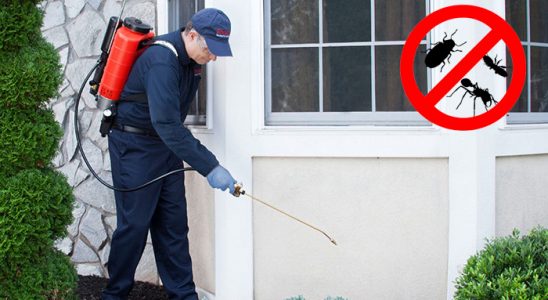 Saruhanlı Kene İlaçlama böcek ilaçlama ve haşere kontrolü — ilaclama-tr.com